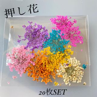 押し花ドライフラワー ①7色 20枚SET ハンドメイド　レジン(ネイル用品)