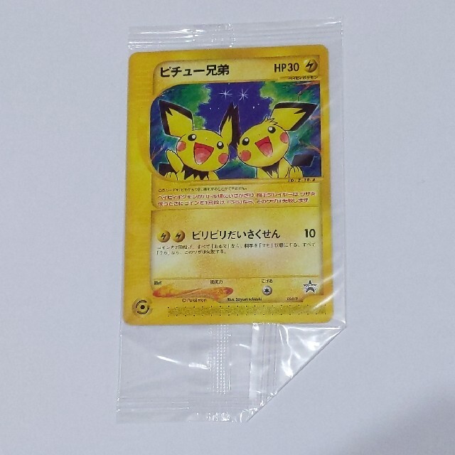 naoto_maiko様専用 ピチュー兄弟 最高の品質の 3640円引き vivacf.net