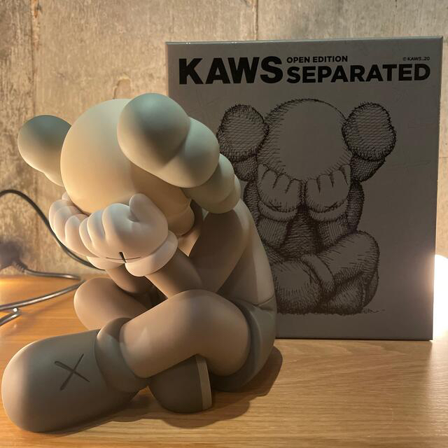 KAWS【新品未使用】KAWS SEPARATED brown