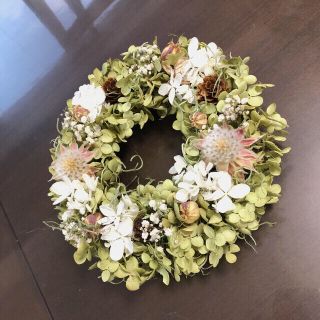 セルリア☆アナベル紫陽花リース♡ドライフラワーリース(ドライフラワー)