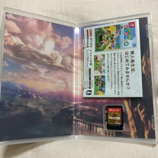 ゼルダの伝説 ブレス オブ ザ ワイルド Switch