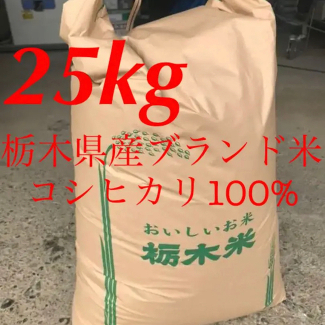 食品【R2年度古米・精米】指定有料農地で採れた栃木県産ブランド米コシヒカリ 25kg