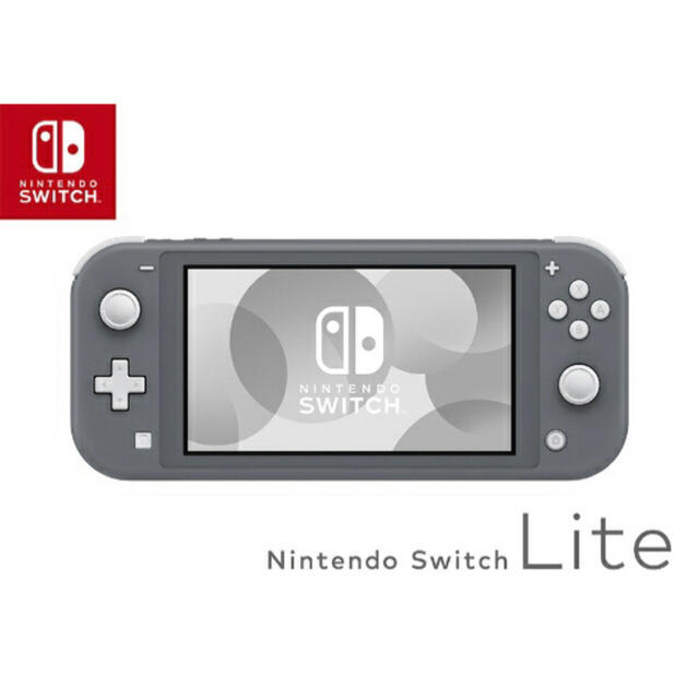 Nintendo Switch Lite グレー 印無し 1