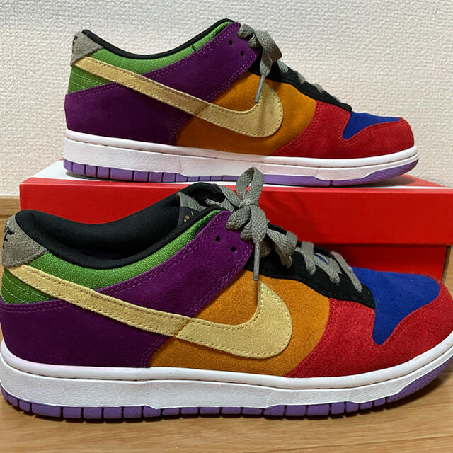 NIKE SB DUNK  LOW VIOTECH 28.5 バイオテック