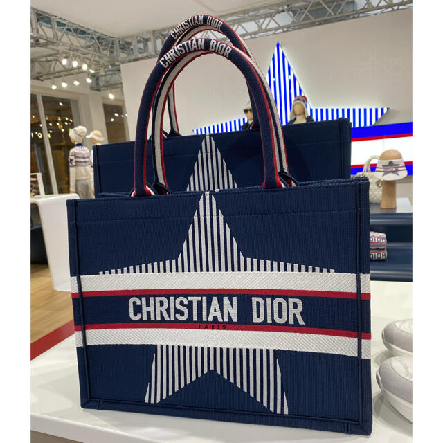 Dior(ディオール)のDIOR ALPS  ディオールアルプス　ブックトート レディースのバッグ(トートバッグ)の商品写真
