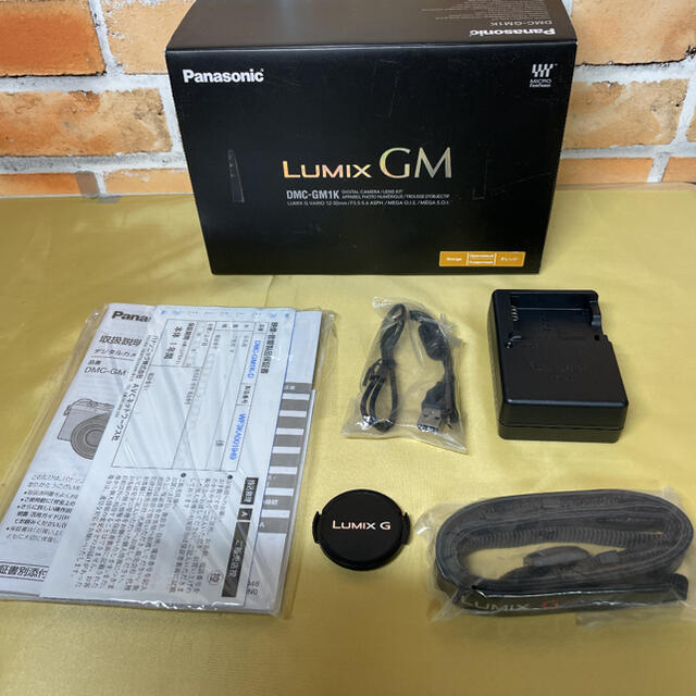 Panasonic　LUMIX DMC-GM1K　レンズ無し 7