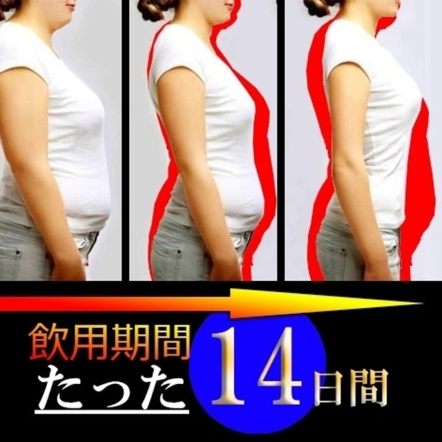 今だけ値下げ中❗️燃焼系 ダイエットサプリ スリマーロジック  約4ヶ月 120粒