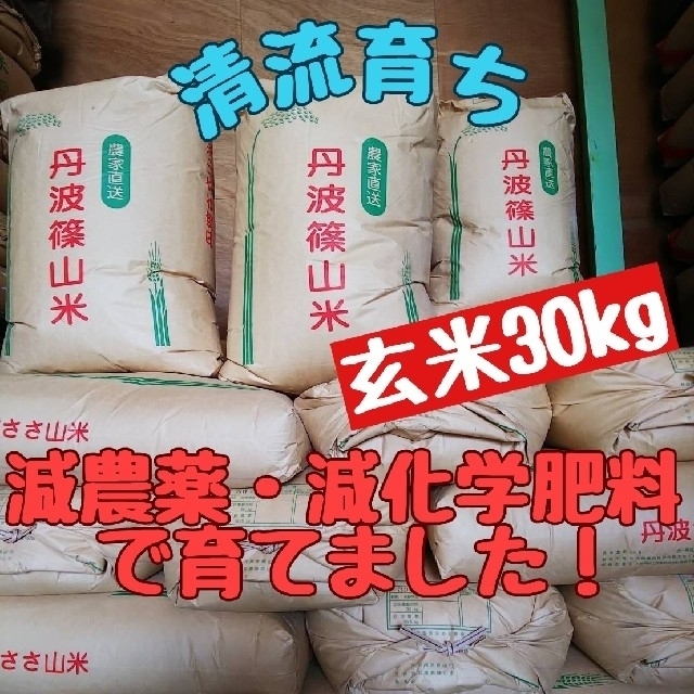 清流育ち 兵庫県丹波篠山米 玄米30kg(減農薬,減化学肥料栽培)令和2年産