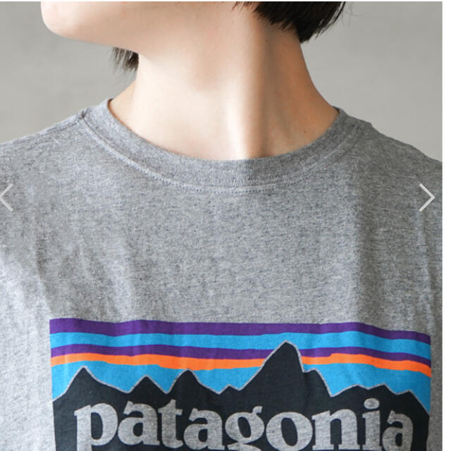 patagonia(パタゴニア)の本日値下げ　新品　Patagonia オーガニックコットン　ロンT レディースのトップス(Tシャツ(長袖/七分))の商品写真