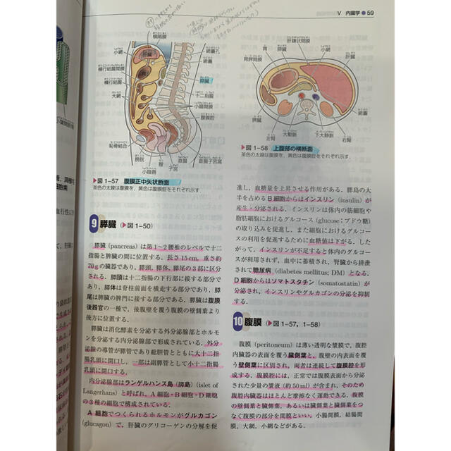 標準理学療法学・作業療法学  専門基礎分野 解剖学 リハビリ エンタメ/ホビーの本(健康/医学)の商品写真