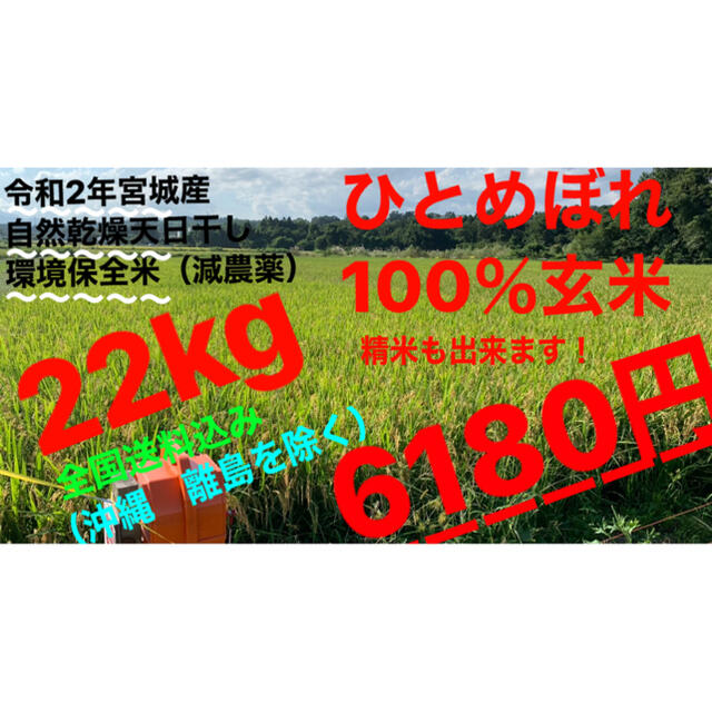 食品/飲料/酒令和2年自然乾燥天日干し米ひとめぼれ100％玄米（精米無料）沖縄離島除き送料無料