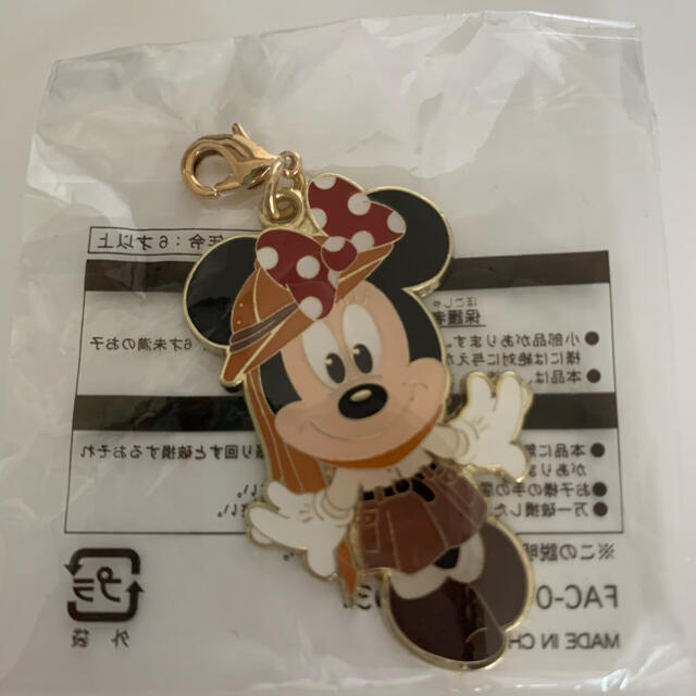 Disney(ディズニー)のディズニーチャーム エンタメ/ホビーのおもちゃ/ぬいぐるみ(キャラクターグッズ)の商品写真