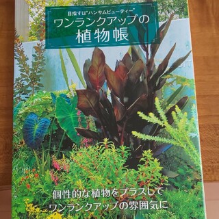 ワンランクアップの植物帳 目指すは“ハンサムビュ－ティ－”(趣味/スポーツ/実用)