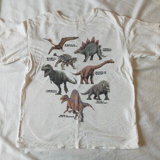 ユニクロ(UNIQLO)のユニクロ　恐竜　Ｔシャツ(Tシャツ/カットソー)
