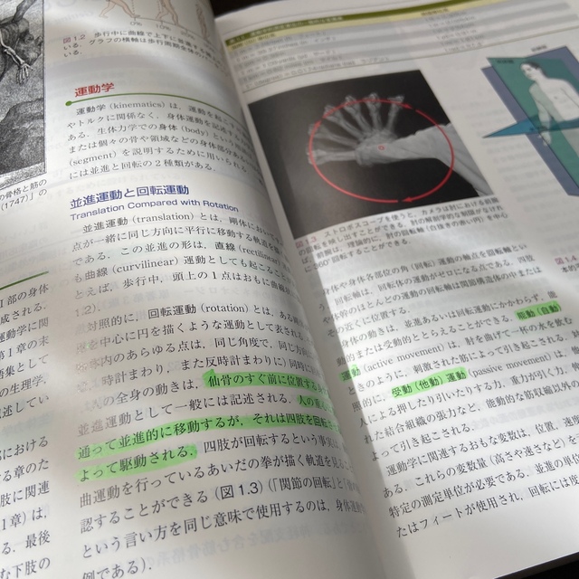 筋骨格系のキネシオロジー 原著第３版 エンタメ/ホビーの本(健康/医学)の商品写真