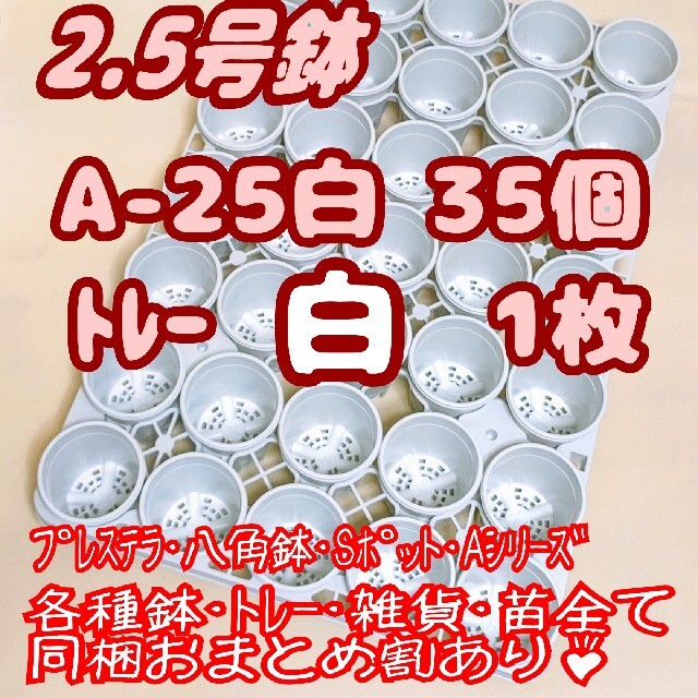 プラ鉢2.5号A-25×35個+専用システムトレー白1枚スリット鉢 プラ鉢2.5号A-25×35個+専用システムトレー白1枚スリット鉢