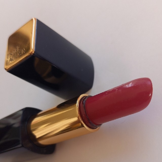 Estee Lauder(エスティローダー)の【新品】ESTEE LAUDER エスティローダーピュアカラー　envy 240 コスメ/美容のベースメイク/化粧品(口紅)の商品写真