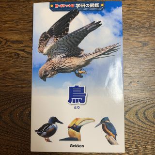 ガッケン(学研)のポケット　学研の図鑑　鳥(絵本/児童書)