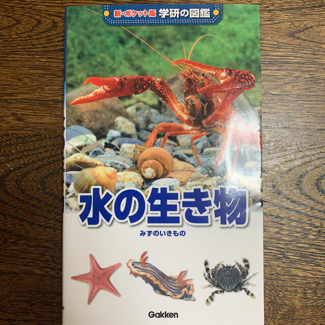 学研(ガッケン)のポケット　学研の図鑑　水の生き物 エンタメ/ホビーの本(絵本/児童書)の商品写真