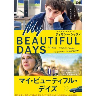 ☆ マイ・ビューティフル・デイズ　DVD  レンタル落ち☆(外国映画)