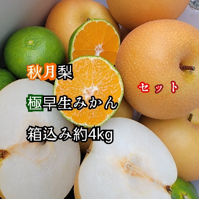 愛媛県産　秋月　梨　極早生みかんセット　箱込み約4kg　果物 食品/飲料/酒の食品(フルーツ)の商品写真