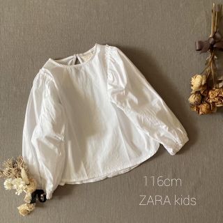 ザラキッズ(ZARA KIDS)の✾ZARA kids ザラ ガーリーなぽわん袖⁂ブラウス*̩̩̥୨୧˖ (ブラウス)