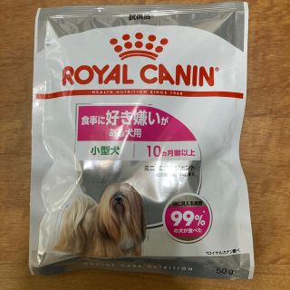 ロイヤルカナン(ROYAL CANIN)のロイヤルカナン　小型犬10ヶ月以上　試供品(ペットフード)