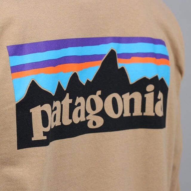 正規◇レア◇パタゴニア ロンT Patagonia P-6 ベージュ M - Tシャツ ...