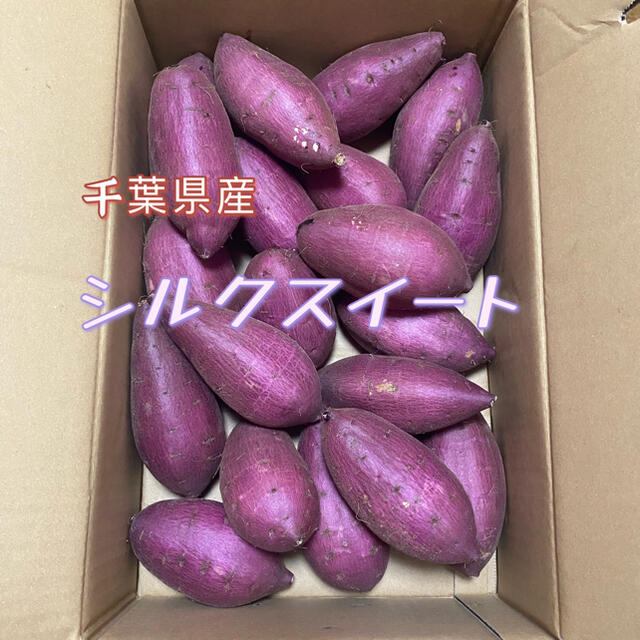 シルクスイート　千葉県産　箱含む5kg   さつまいも 食品/飲料/酒の食品(野菜)の商品写真