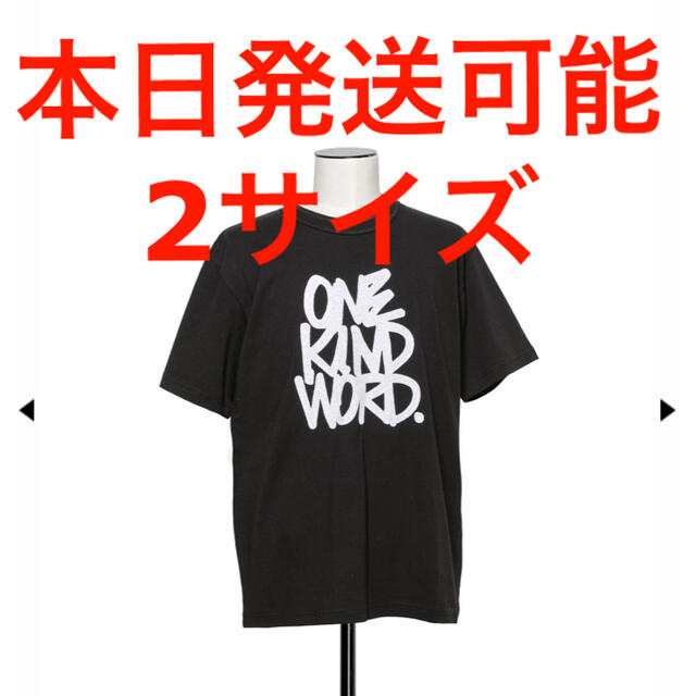 定価(18,700) SACAI Eric Haze T-Shirt black
