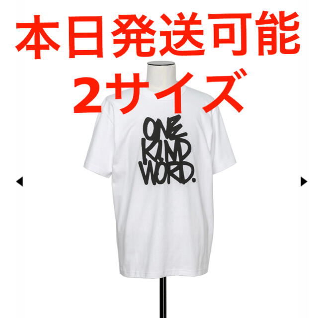 定価(18,700) SACAI Eric Haze T-Shirt white