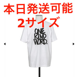 サカイ(sacai)の定価(18,700) SACAI Eric Haze T-Shirt white(Tシャツ/カットソー(半袖/袖なし))