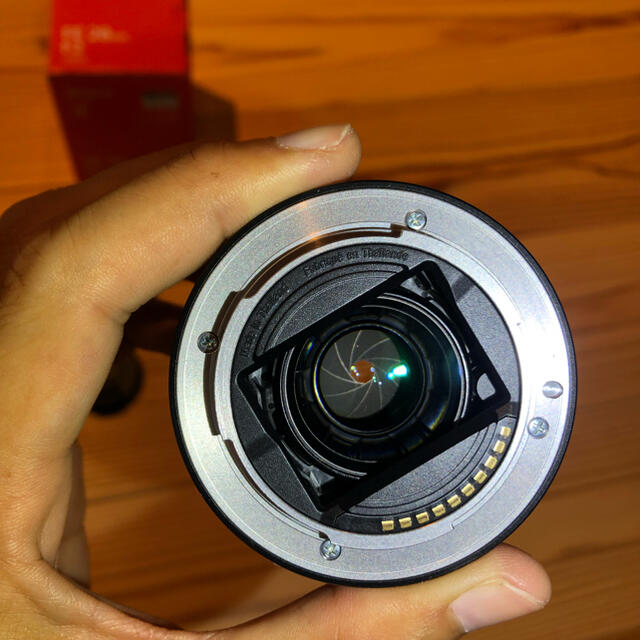 SEL28F20 & fisheye converter