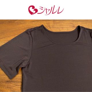 シャルレ(シャルレ)の超美品☆1点限定☆大特価☆廃盤レア【シャルレ】半袖カットソー IH061 L(カットソー(半袖/袖なし))