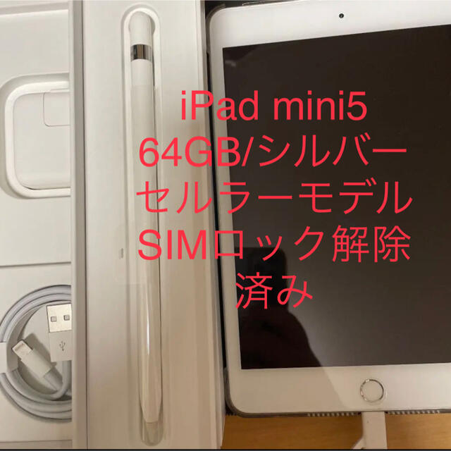 【美品】iPad mini５Apple Pencil付Wi-Fi 64GBグレイ