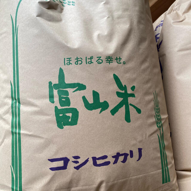 令和三年新米コシヒカリ20キロ玄米　米/穀物