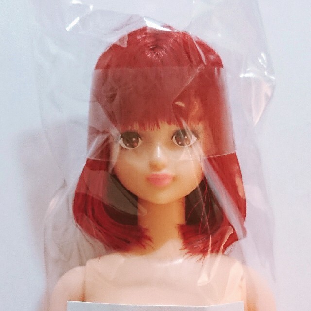 リカちゃんキャッスル シオン おたのしみドール ハンドメイドのぬいぐるみ/人形(人形)の商品写真