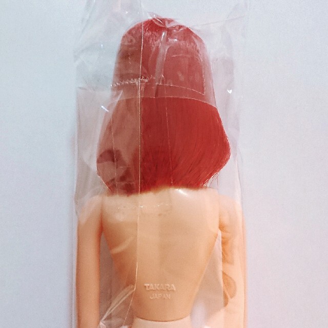 リカちゃんキャッスル シオン おたのしみドール ハンドメイドのぬいぐるみ/人形(人形)の商品写真