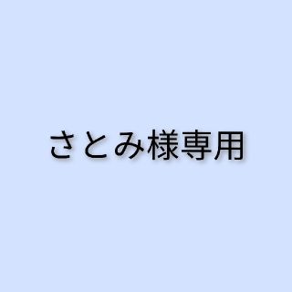 ポケモン(ポケモン)のさとみ様専用ページ(ファッション雑貨)