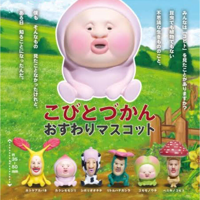 こびとづかん おすわりマスコット 全6種 コンプリート ガチャガチャ エンタメ/ホビーのおもちゃ/ぬいぐるみ(キャラクターグッズ)の商品写真