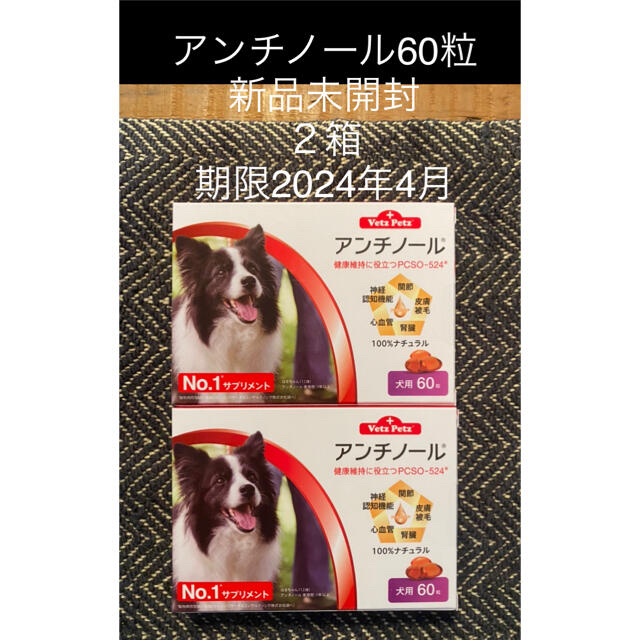 Vetz Petz  アンチノール犬用60粒