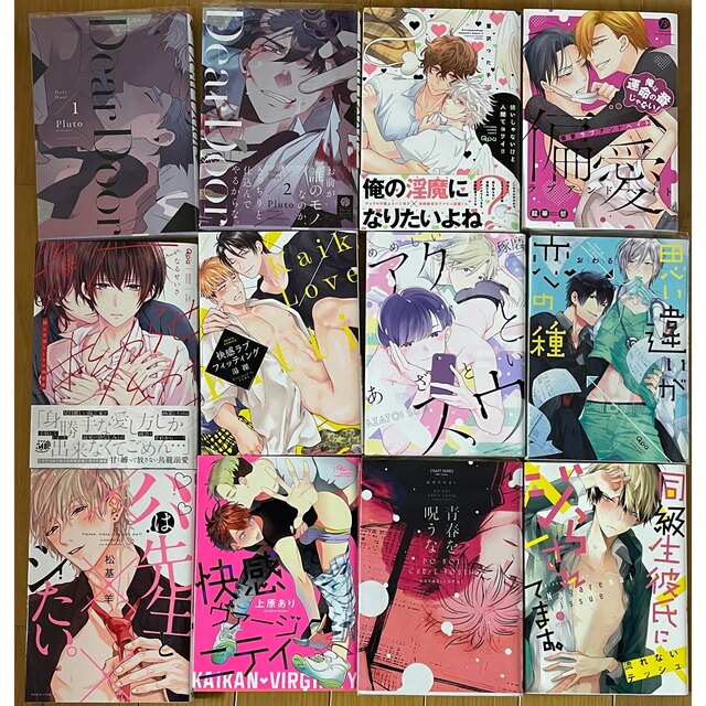 高級感 BLコミックス18セット バラ売り可(14冊)ご検討中 - 女性漫画