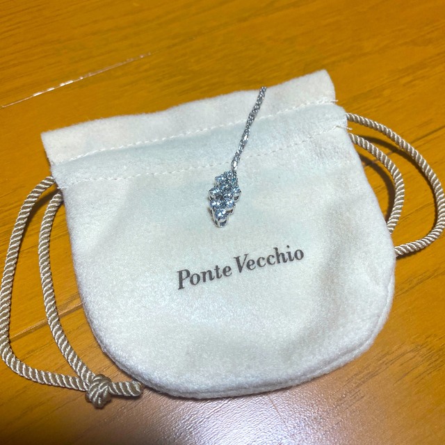 PonteVecchio(ポンテヴェキオ)のストーンモチーフネックレス レディースのアクセサリー(ネックレス)の商品写真