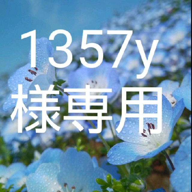1357y様専用