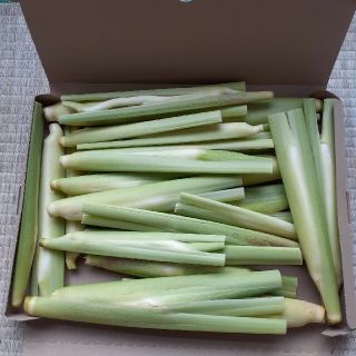 令和3年産　無農薬無施肥生産のマコモダケ　ゆうパケット(野菜)