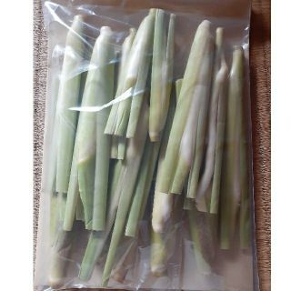 令和３年産　小さめサイズのマコモダケ　ゆうパケット約700g②(野菜)