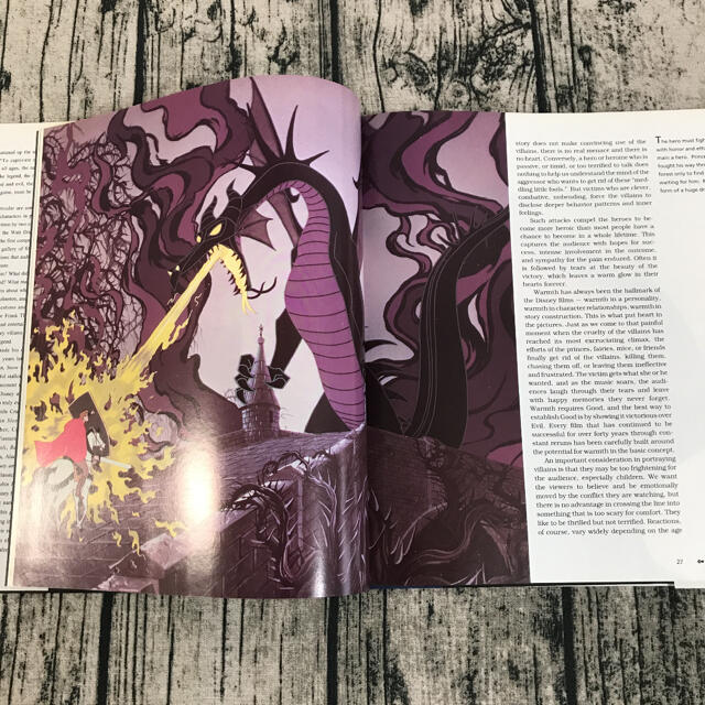 Disney(ディズニー)の絶版　洋書　 The Disney Villain ディズニー ヴィランズ エンタメ/ホビーの本(洋書)の商品写真