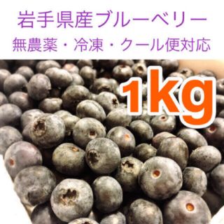 岩手県産ブルーベリー冷凍2kg【無農薬】(フルーツ)