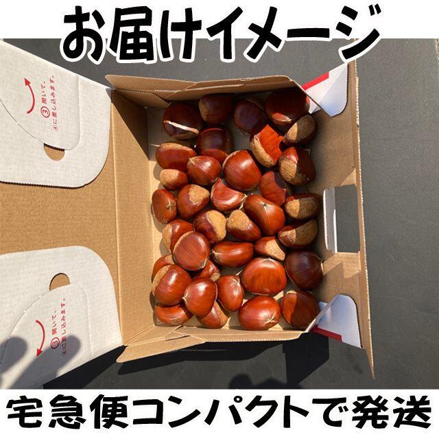 栗（生栗）１ｋｇ  送料無料  秋の味覚を直送（値下げ） 食品/飲料/酒の食品(野菜)の商品写真