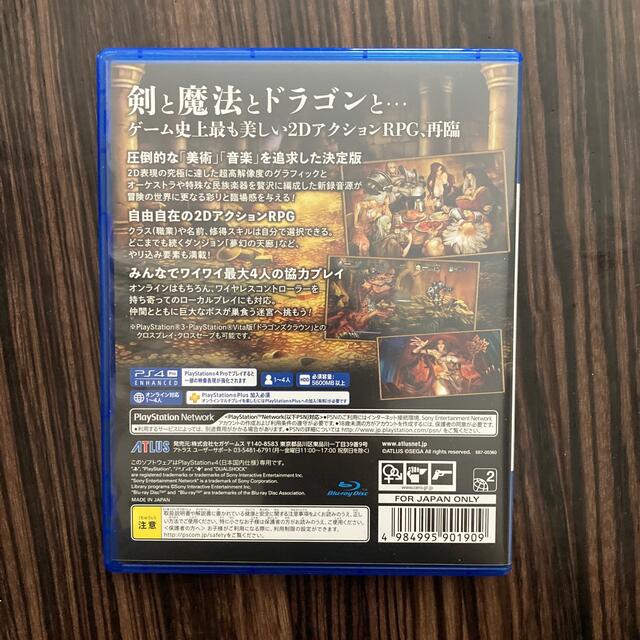 PlayStation4(プレイステーション4)のドラゴンズクラウン　プロ　2人プレイ　ps4ソフト エンタメ/ホビーのゲームソフト/ゲーム機本体(家庭用ゲームソフト)の商品写真